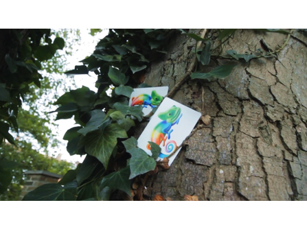 Camouflage (Gimmicks and Online Instructions) by Keith Porter