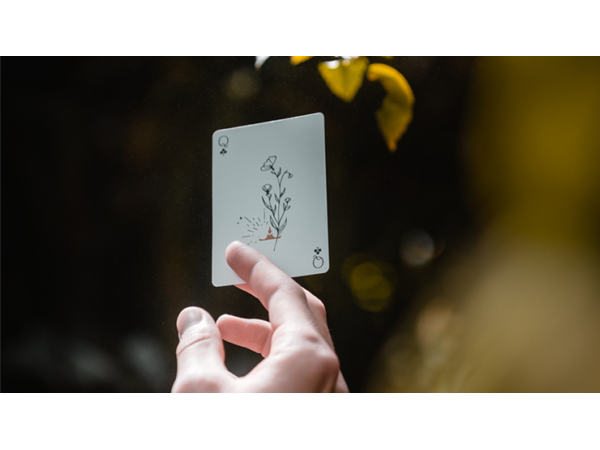 Whirl Playing Cards by Jerome Luginbühl