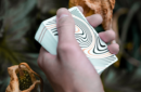 Httpswww magicshop chmediacatalogproductsisimple cardswhirl 4 png