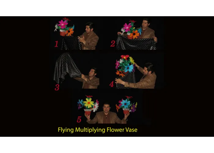 Flying Multiplying Flower Vase by Black Magic