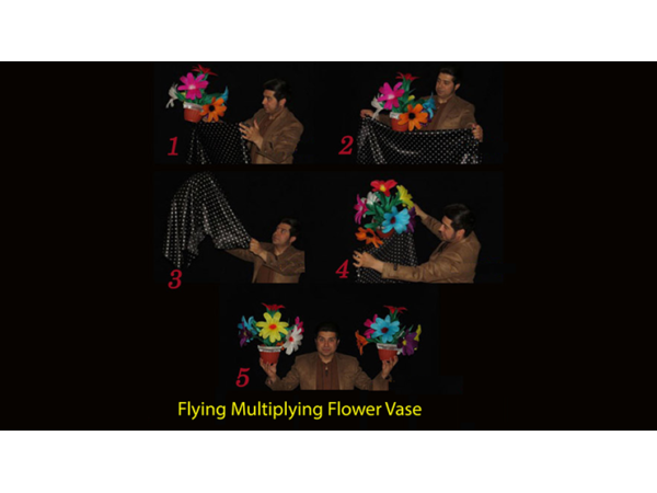 Flying Multiplying Flower Vase by Black Magic