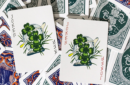 Httpswww magicshop chmediacatalogproductsisimple cardsyewitgld 1 2 png