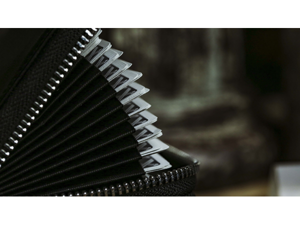 Accordion-style multi-function bag by TCC