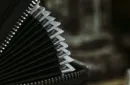 Accordion-style multi-function bag by TCC – Image 4
