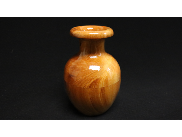 Lota Bowl by Zanders Magical Apparatus
