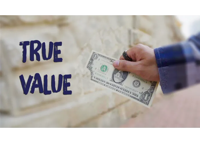 TRUE VALUE by Zihu