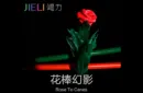 Rose to Canes – Bild 1