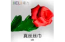 Rose to Canes – Bild 4