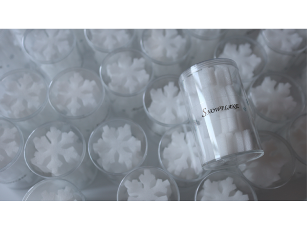 SNOWFLAKE SPONGES by Hugo Choi