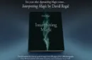 Interpreting Magic by David Regal - Book – Bild 1