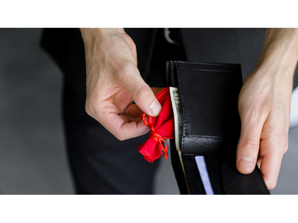 Coin to Wallet (Gimmicks and Online Instructions) by Rodrigo Romano and Mysteries
