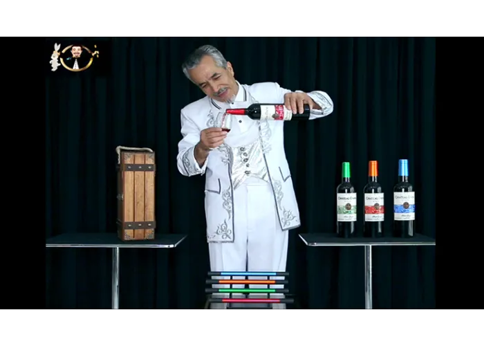 Magic Wine Wand by Tora Magic- Trick