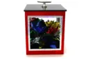 Top Crystal Casket by Tora Magic – Image 2
