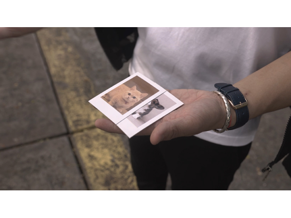 Skymember Presents: Project Polaroid  Add-On Kit (Pet lover)