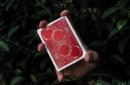Httpswww magicshop chmediacatalogproductsisimple cardsristrick 1 png