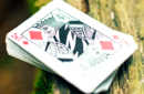 Httpswww magicshop chmediacatalogproductsisimple cardsz 4 png