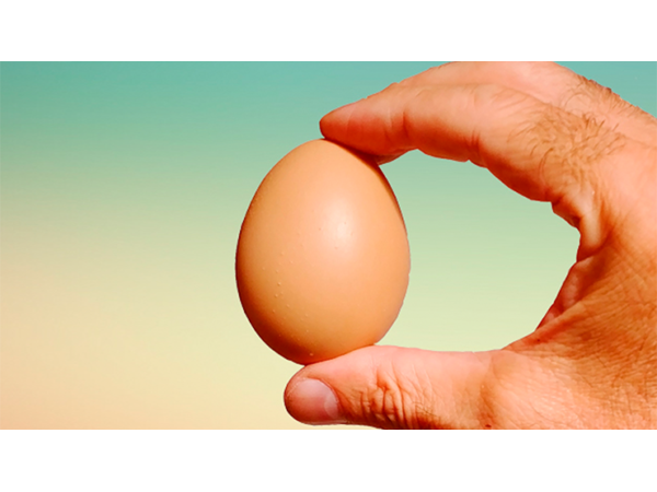Fake Egg Brown by Quique Marduk / PVC Ei