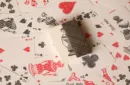 Chess Club Limited Edition Playing Cards by Magic Encarta – Image 6