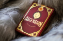 Httpswww magicshop chmediacatalogproductsisimple cardsascen lion 1 png