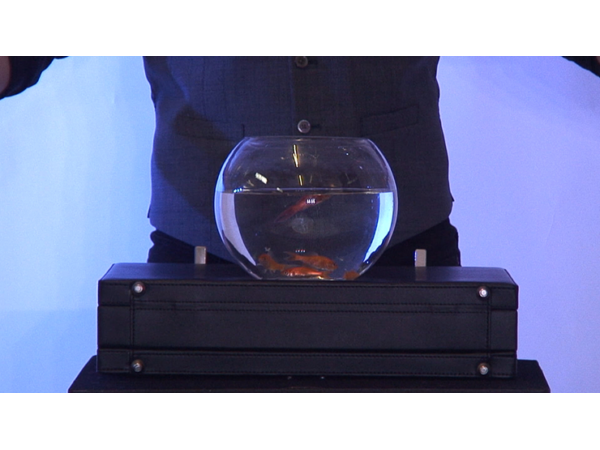 ULTIMATE BOWLING BALL FROM BRIEFCASE by Richard Griffin