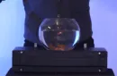 ULTIMATE BOWLING BALL FROM BRIEFCASE by Richard Griffin – Image 2