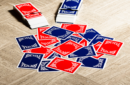 Httpswww magicshop chmediacatalogproductsisimple cardsbicins red 6 png