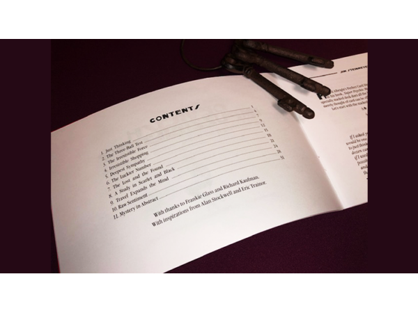 Devilish  Impuzzibilities by Jim Steinmeyer - Book
