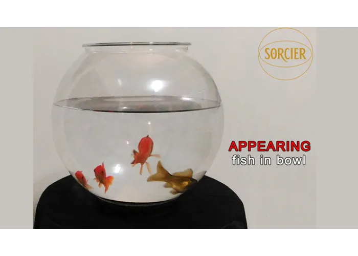 APPEARING FISH IN BOWL by Sorcier Magic