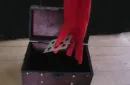 Hofzinsers Handschuh von Christoph Borer – Image 3