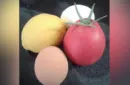 Flip it (combo 2) by Magician Zimurk & David Dosam – Image 2
