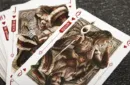 Luminosity Luxury (Gilded) Playing Cards – Image 8