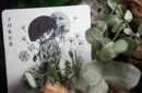 The Green Man Playing Cards (Spring)  by Jocu – Image 4