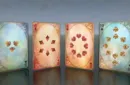 Alis Luminis The Winged Playing Cards Deck – Image 4