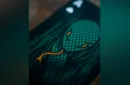 The Serpent (Green) Playing Cards – Image 6