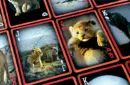 Lion King Deck by JL Magic – Image 2