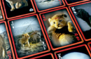 Httpswww magicshop chmediacatalogproductsisimple lionking deck 2 png