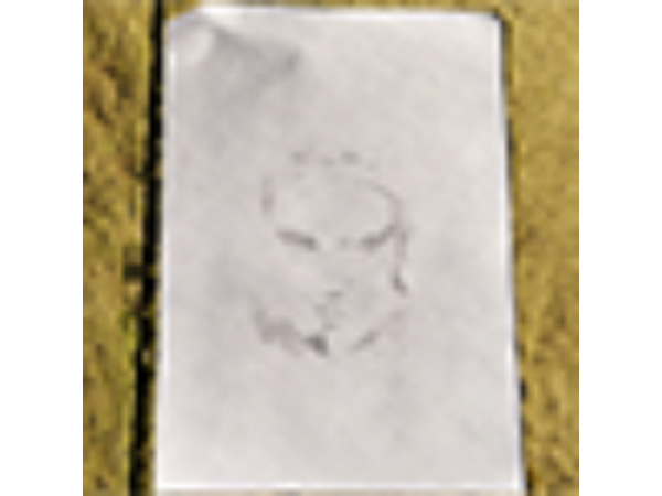 Star Pad - Elvis Presley by Jimmy Strange - Trick
