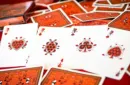 Limited Edition Bicycle Ladybug (Black) Playing Cards – Image 4