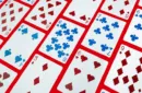 6 Shark Playing Cards (Free 6 Box Case Included) by Riffle Shuffle – Bild 5