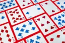 Shark Playing Cards by Riffle Shuffle – Bild 5