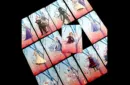 Frozen V2 Stripper Deck by JL Magic – Image 4