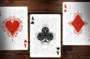 Httpswww magicshop chmediacatalogproductsisimple cardstulip pur 8 png