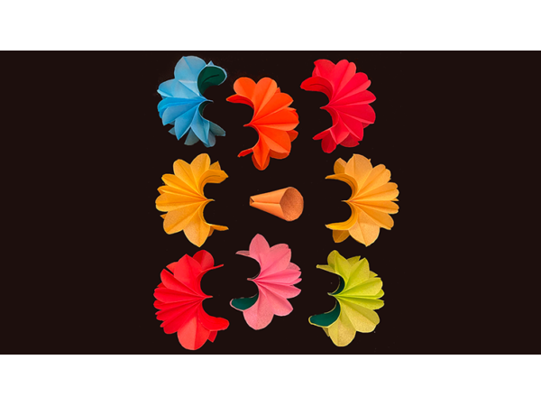 Deluxe Spring Flowers by Alan Wong