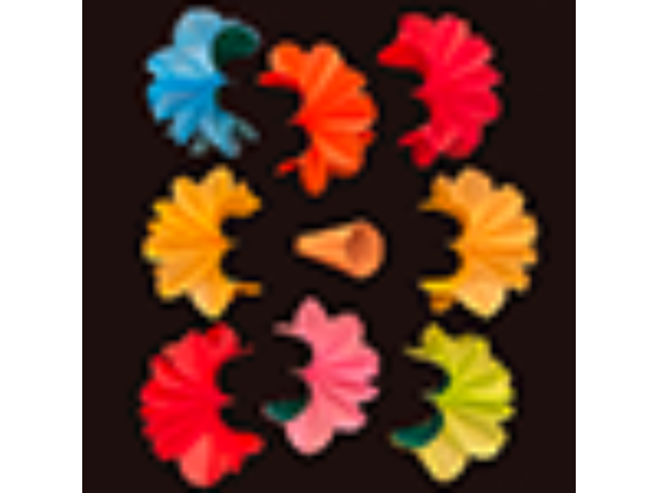 Deluxe Spring Flowers by Alan Wong