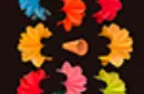 Deluxe Spring Flowers by Alan Wong – Bild 3