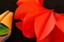 Deluxe Spring Flowers by Alan Wong – Bild 5
