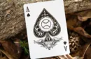 DeLand's Daisy Deck (Centennial Edition) – Image 4