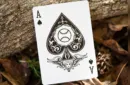 DeLand's Nifty Deck (Centennial Edition) – Image 4