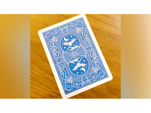 Night Flight Marked Playing Cards by Steve Dela