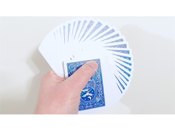 Night Flight Marked Playing Cards by Steve Dela